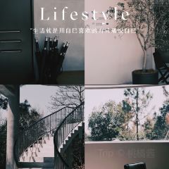青芷森林·咖啡店 User Photo