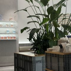 Seesaw Coffee 여행 사진