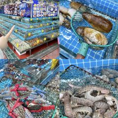 潮汕海鮮大排檔（雙月灣店）張用戶圖片