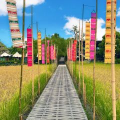 Elefin Farm & Cafe เอเลฟิน ฟาร์ม แอนด์ คาเฟ่ User Photo