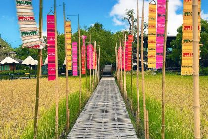 Elefin Farm & Cafe เอเลฟิน ฟาร์ม แอนด์ คาเฟ่