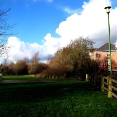 The Delhi Restaurant User Photo