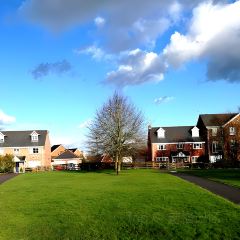 The Delhi Restaurant User Photo