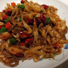 邛海打魚匠張用戶圖片