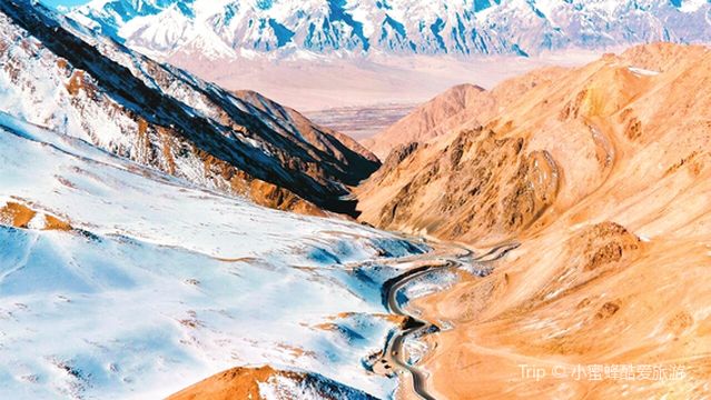 long ji shan bu zhan dao
