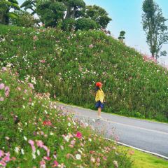 半句再见·百丈观瀑店 User Photo