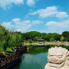 含晖面馆(虞景文华店) User Photo