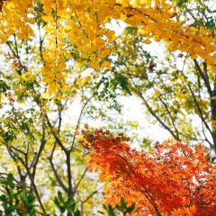 麥當勞（常州西瀛裡店）張用戶圖片