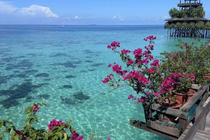 Hoe Kee Chicken Rice Ball