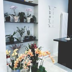 九分甜 User Photo