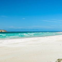 1802 Oyster Bar - Coffin Bay User Photo