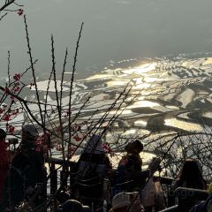 Yangshizhengzhenggao User Photo