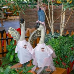 花花姨碌鵝生活館張用戶圖片