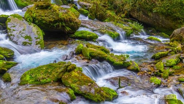 Shennongjia Shennongding Scenic Area - Xiaolongtan