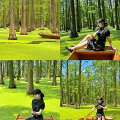 韦迦·主题咖啡厅·青年旅舍 User Photo