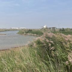 安兴早市(盛元店) User Photo