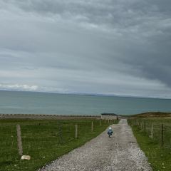青海湖藏趣部落民宿·特色餐厅 User Photo