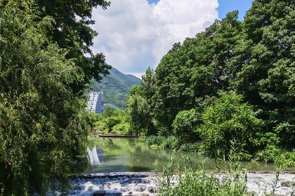 醉香丝(市纪委院落店)