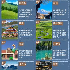 大虎民謠酒吧張用戶圖片