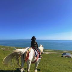 青海湖藏趣部落民宿·特色餐厅 User Photo
