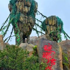 GAO WEI CHAO JI SHAO User Photo
