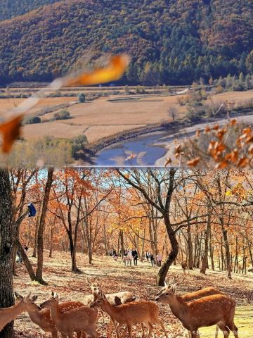 Xiaoxing'anling Virgin Forest Park