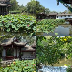 廖老俵肥肠鷄(总店)張用戶圖片