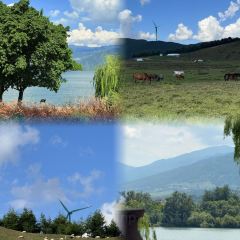 骆大姐手摊凉粉 User Photo