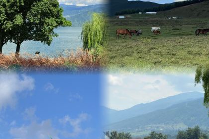 骆大姐手摊凉粉