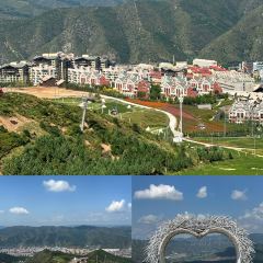 DA WEI ROAST WHOLE LAMB User Photo