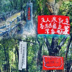 申记臭豆腐煮鱼(五一步行街店) User Photo