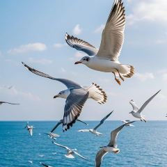 阿忠海鲜餐馆(新华北路店) User Photo