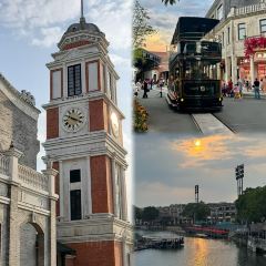 A bao bao zai Rice (huangqi) User Photo