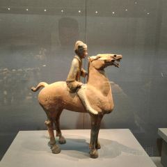 qi gai jiang lv (nan yang men dian) User Photo