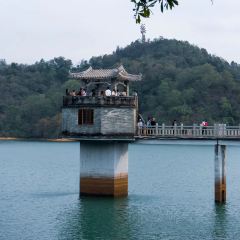 GOLD HOMELAND User Photo