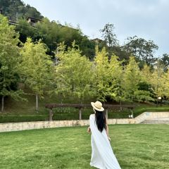 杭州千岛湖皇冠假日酒店西餐厅 User Photo