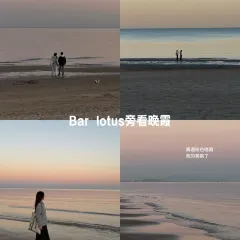 Bar Lotus User Photo