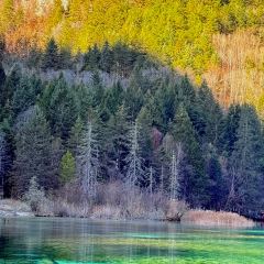 人民食堂土菜馆 User Photo