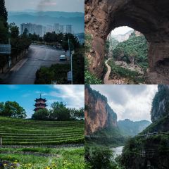 林記豆湯圓子火鍋用戶圖片