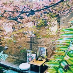 清晨到来 User Photo
