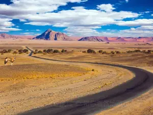 Desierto del Namib