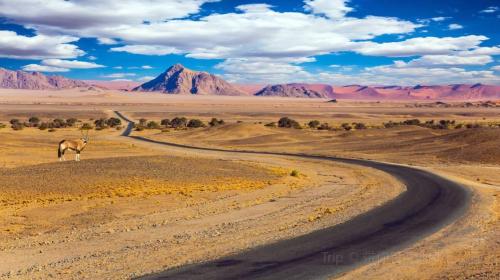 Namib Desert