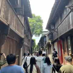 THE FOREST LIVE MUSIC 여행 사진