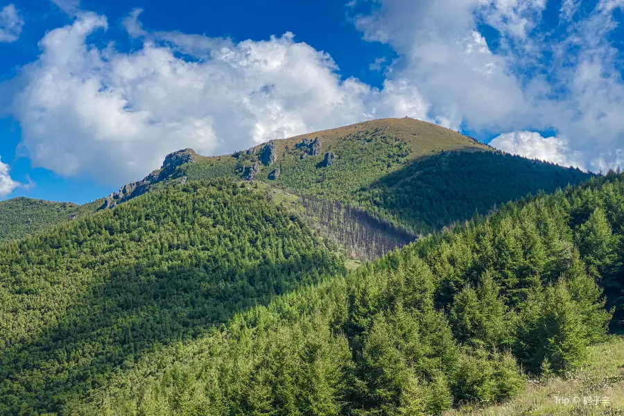 西靈山