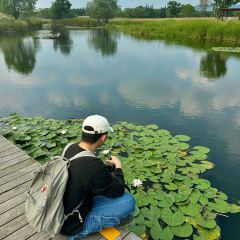 竹隐钢琴乐餐厅 User Photo