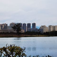 吉悦烘焙生活馆 User Photo
