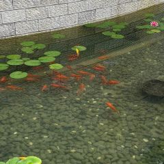 左家村休闲农庄 User Photo