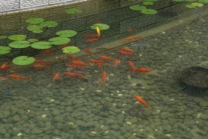 左家村休闲农庄