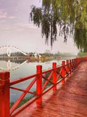 沱河濕地公園