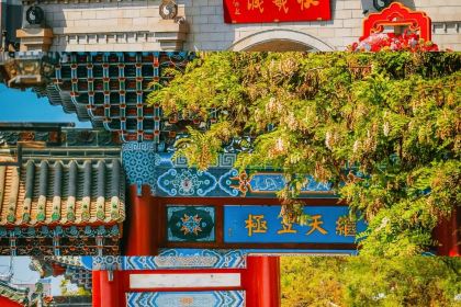 胖子鱼·鲜鱼火锅(全国总店)